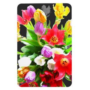 Íman O primavera floresce tulipas