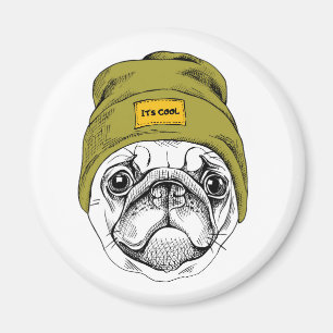 Íman O Pug   do hipster é legal