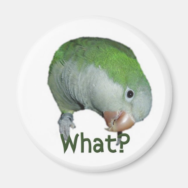 Íman O quê? (Frente)