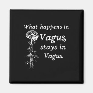 Íman O Que Acontece No Vagus Permanece No Sistema Nervo