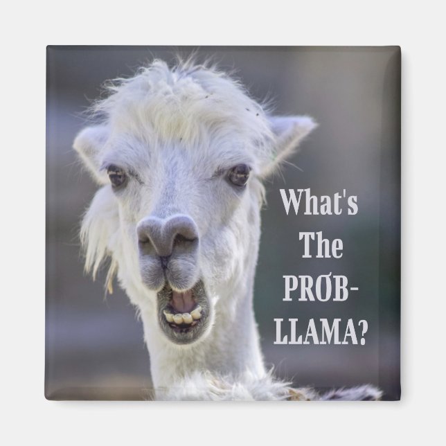 Íman O que é o Prob-Llama? LLAMA, Custa Engraçado (Frente)