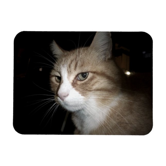 Íman O que ele está pensando? (Horizontal)