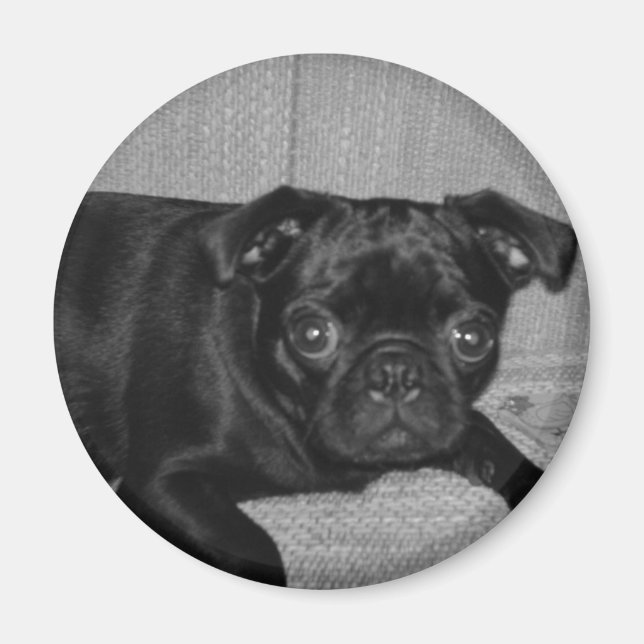 Íman O quê? Eu não fiz isso! (Frente)