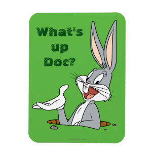 Íman O QUE HÁ COM OS INSETOS DOC?™ BUNNY™ Rabbit H