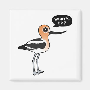 Íman O que se passa?