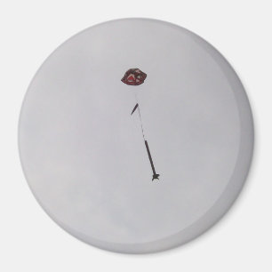 Íman O que vai acima… do ímã