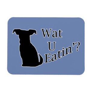 Íman O Que Você Está Comendo Cão