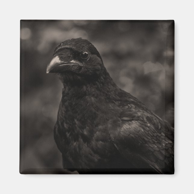 Íman O Requerente (Frente)