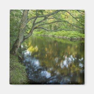 Íman O rio Taunton em Bridgewater,