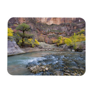 Íman O rio Virgin no outono no Parque Nacional Zion
