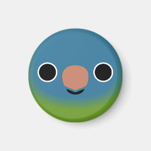 Íman O rosto de um periquito azul-coroado