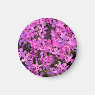 Íman O roxo bonito floresce o ímã