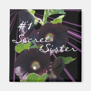 Íman O segredo, irmã Ímã-personaliza