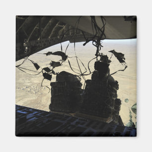 Íman O sistema de entrega do recipiente empacota a