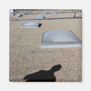 Íman O sistema de iluminação do dia solar