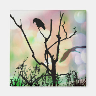 Íman O Solitário Crow Magnet