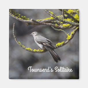 Íman O Solitário de Townsend