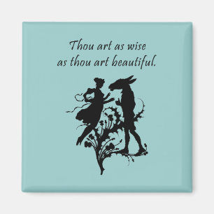 Íman O sonho de noite de plenos Verões