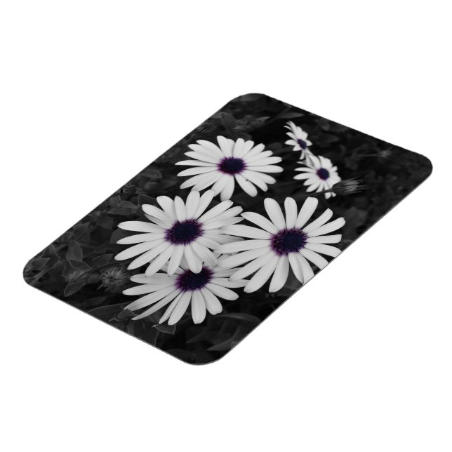 Íman O Sutil Contraste da Natureza (Left Side)