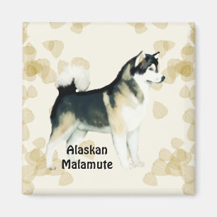 Íman O ~ Tan do Malamute do Alasca sae de Motiff