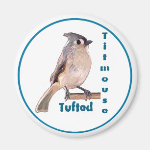 Íman O Titmouse Tufado