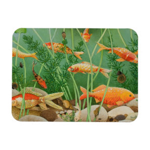 Íman O toque do Ouro 2011