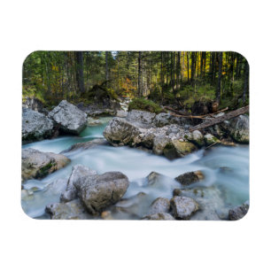 Íman O torrente Ramsauer Ache