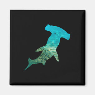 Íman O Tubarão-Hammerhead Amadurece O Dia da Terra e O