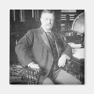 Íman O Ursinho Bull Moose Roosevelt Vintage