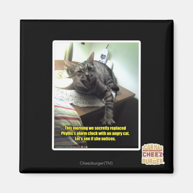 Íman O vamos vê se ela percebe. (Frente)