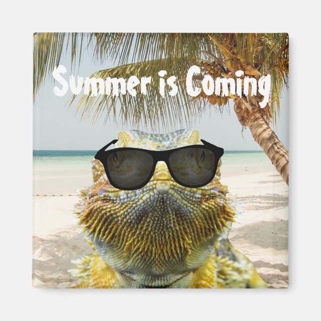 Íman O verão está chegando (Frente)