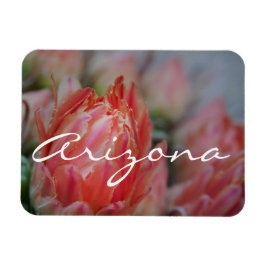 Íman O verão floresce da Arizona