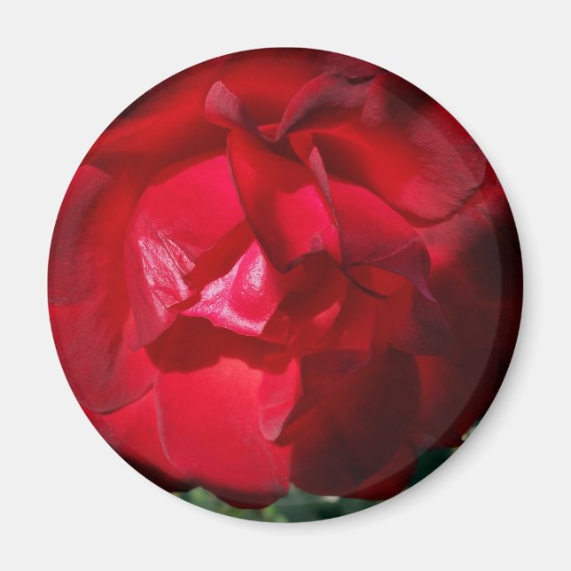 Íman O vermelho do outono (Frente)
