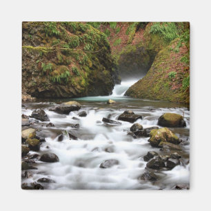 Íman O véu nupcial cai ímã da angra