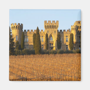 Íman O vinhedo com videiras syrah e o castelo