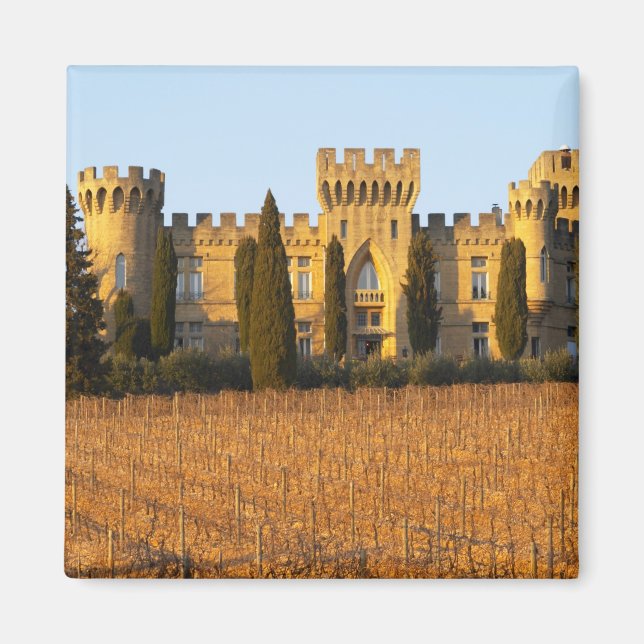 Íman O vinhedo com videiras syrah e o castelo (Frente)
