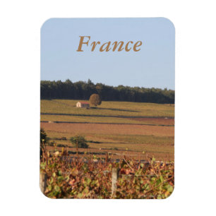 Íman O vinhedo em France imprimiu em um ímã