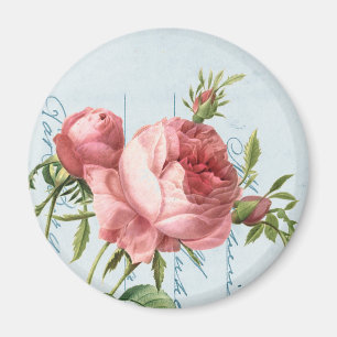 Íman O vintage bonito aumentou