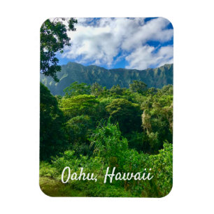 Íman Oahu, Floresta Rainha do Havaí