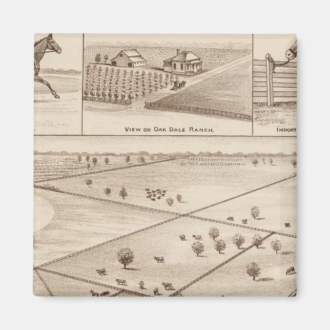 Íman Oakdale Ranch (Frente)