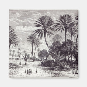 Íman Oásis de Gafsa: Tunes