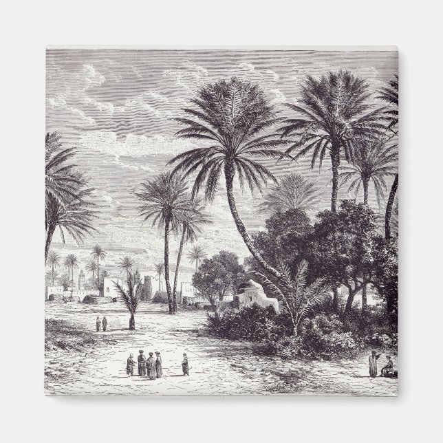 Íman Oásis de Gafsa: Tunis (Frente)