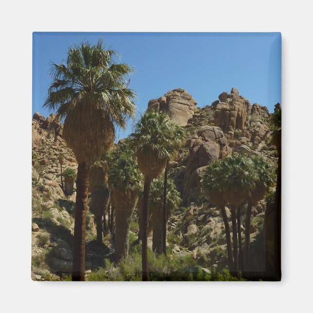 Íman Oásis Lost Palms I no Parque Nacional Joshua Tree (Frente)