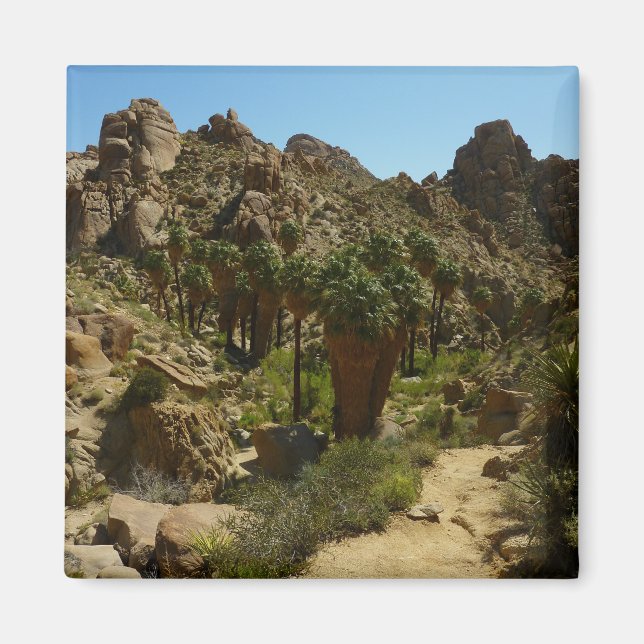 Íman Oásis Lost Palms II no Parque Nacional Joshua Tree (Frente)