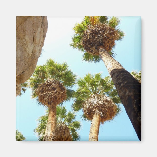 Íman Oásis Palms no Parque Nacional Joshua Tree (Frente)