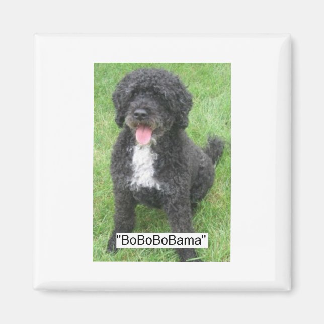 Íman Obama Pet English Water dog (Frente)