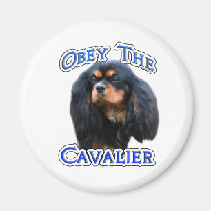 Íman Obedeça ao cavaleiro - Magnet
