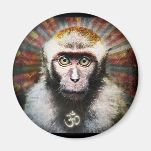 Íman obedeça meu macaco