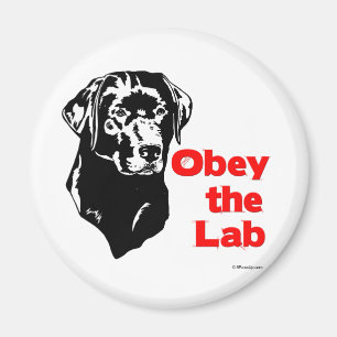 Íman Obedeça o laboratório