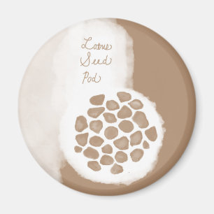 Íman objet_11_lotus semente pod